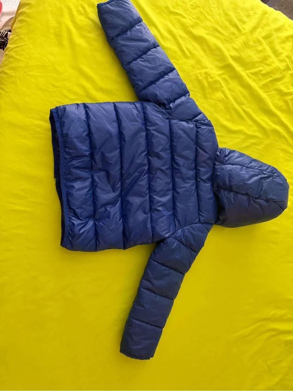 Gymboree Blue Jacket with Green Lining and Trim